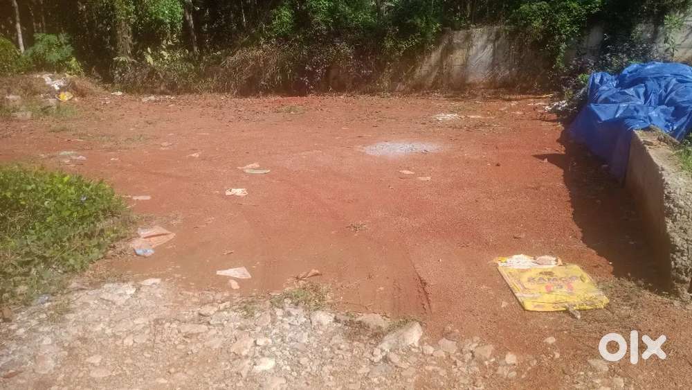 5,5,5.300 cent plot pothencode