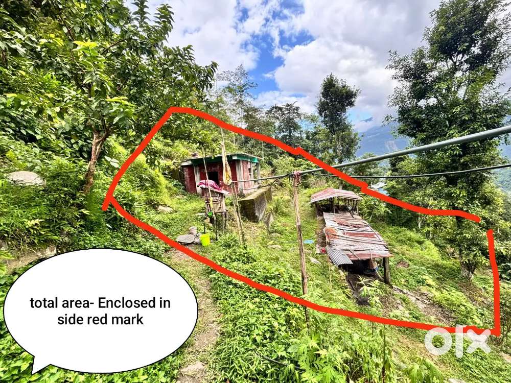 Land including half constructed house and cow shed.within it.