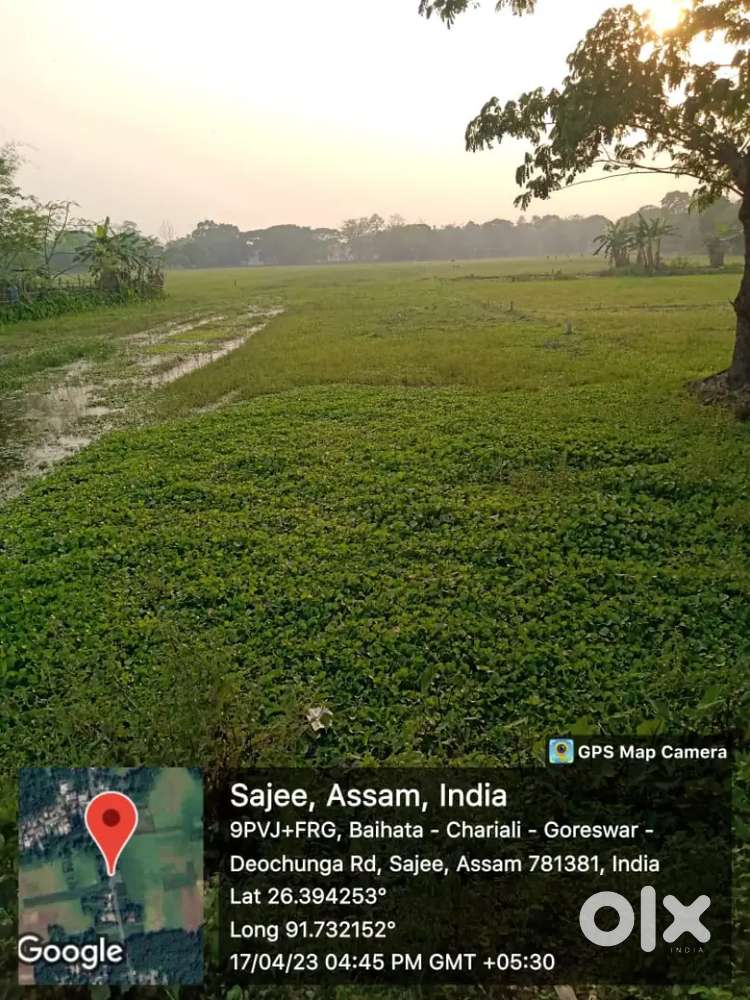 MIYADI LAND (BAIHATA CHARIALI)