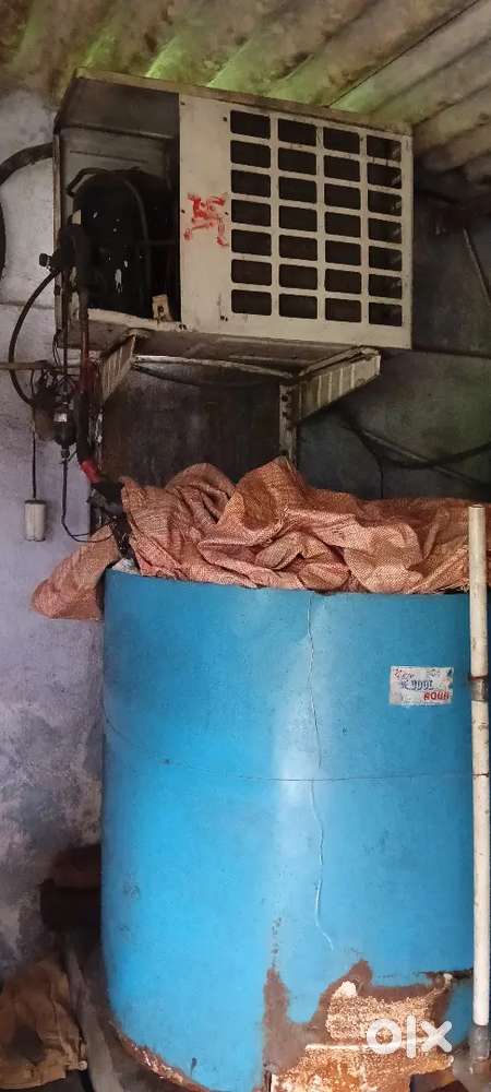 Water plant