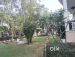 Beautiful made 3 BHK fully furnished khothi in Saket Sainik farm