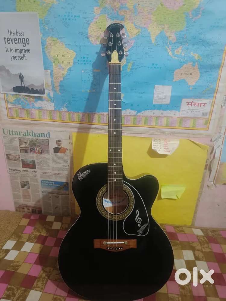 Signature guiter 2months old untouched