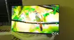 55 inch sony smart Android frameless oled 4k 1yr warranty 26500