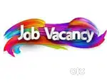 Telecaler,team leader, office staff , supervisor