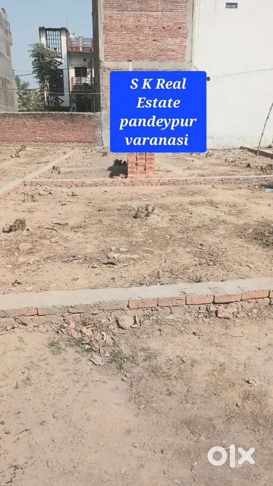 शिप्रा कान्वेंट स्कूल सोना तालाब पंचक्रोशी