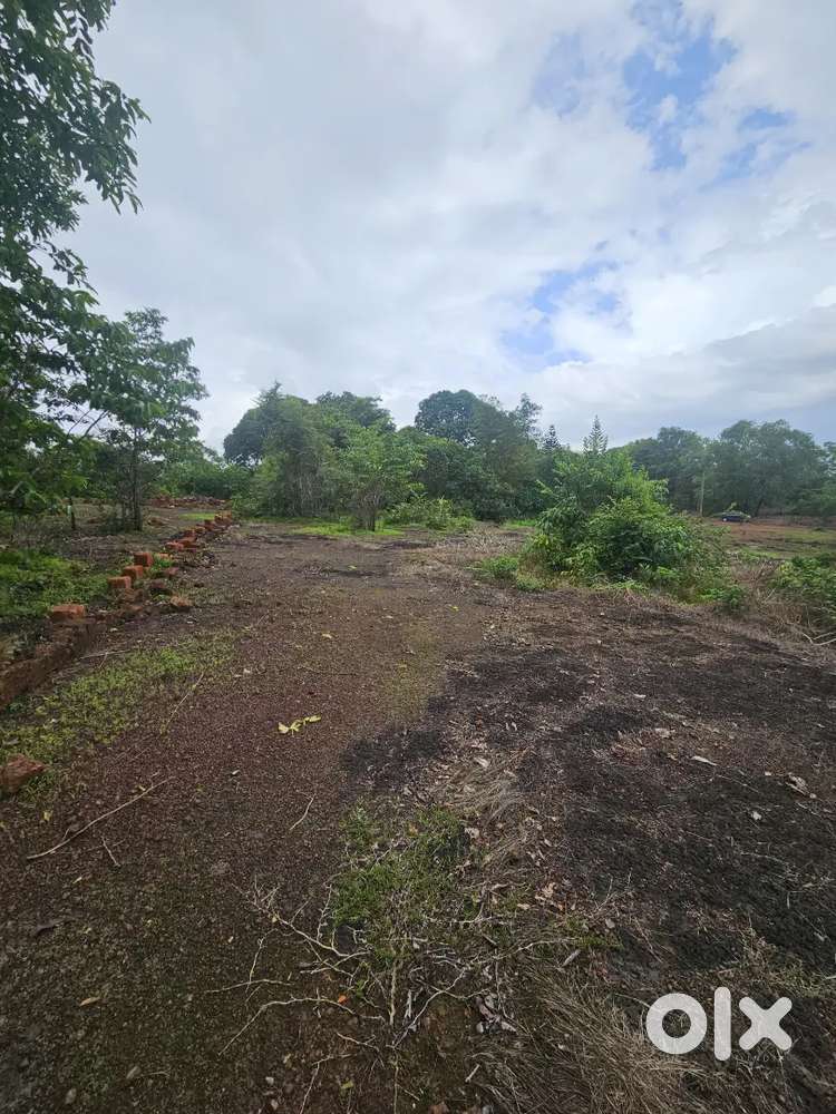 20 cent Housing Plot For sale at Perigome