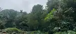 3 acres for sale . Only 20 lacks for acre .peaceful and beautiful land