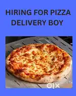 DELIVERY PIZZA PARTNER