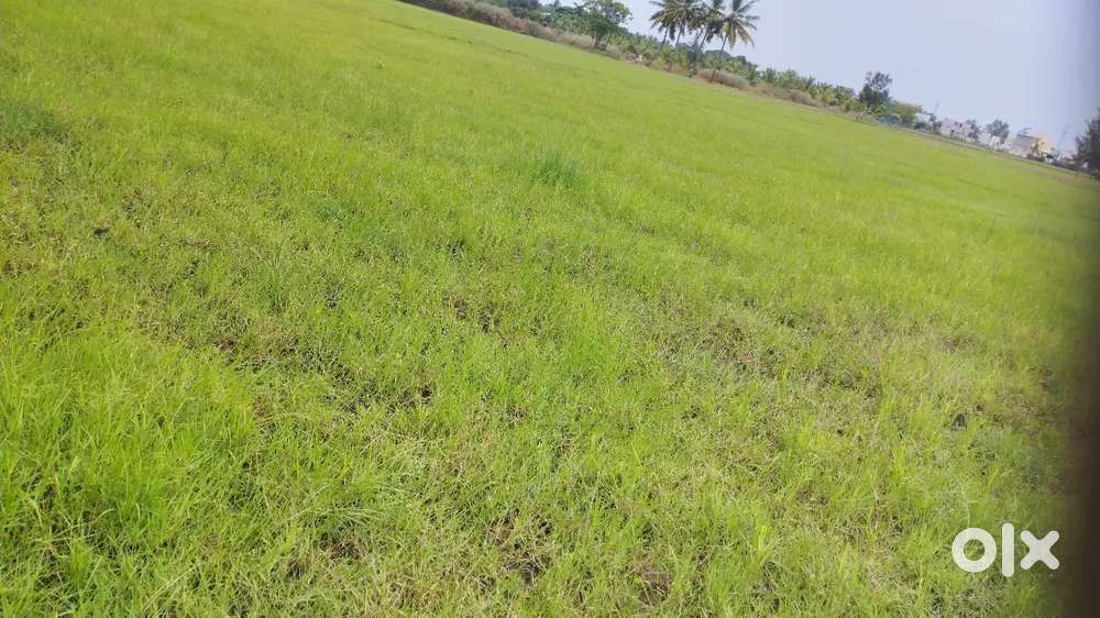 Sale property