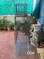4 cages in mint condition