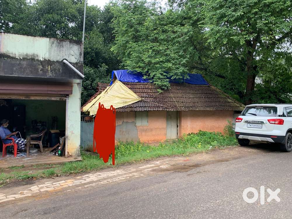 8 cent plot in main road- st mankadu,kaliyakavillai