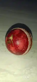 Cricket leather ball