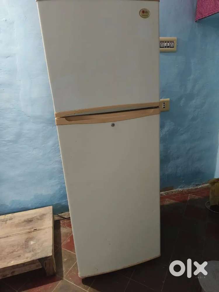 Lg Double Door