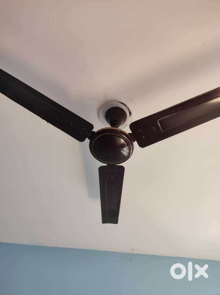 wall fan..