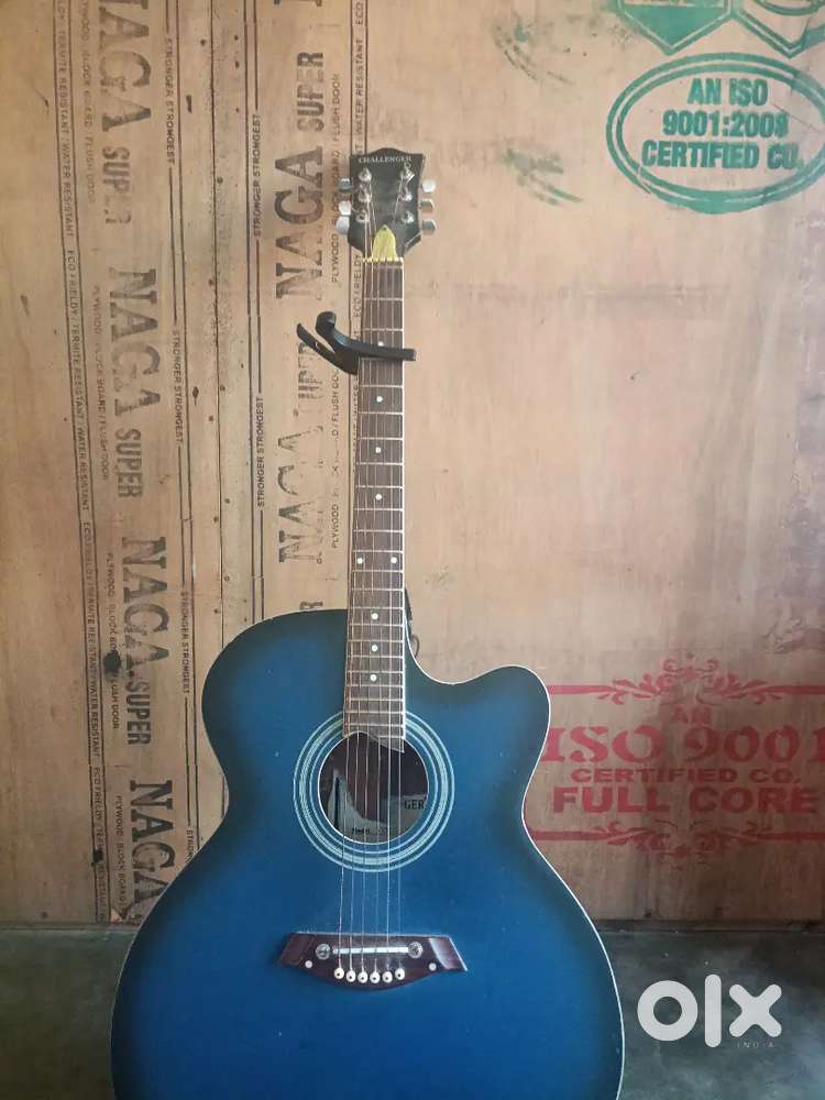 Acoustic guitar