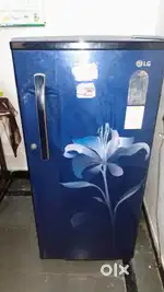 LG Single door Fridge