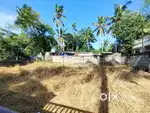 6 Cent dry land with corporation road frontage for Sale