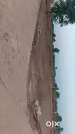 Good property