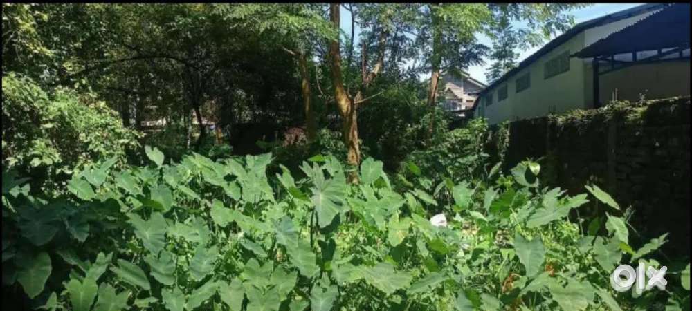 Plot for sell in Dibrugarh Gandhi Nagar Shiv Mandir path