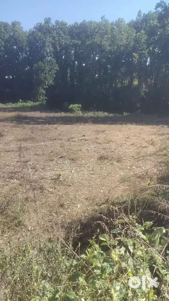 plot sale in jamunwala and dholas