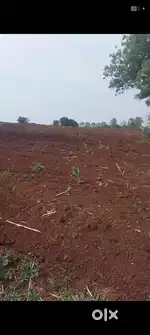 Prime location agriculture land urgent sale at pargi
