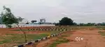 Friends City Best' investment plots