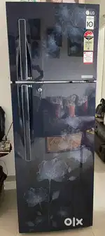 LG 310L 4-star Double Door Fridge