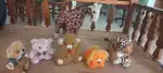 Soft Toys and wooden toys