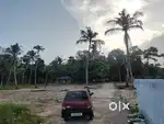 ചെട്ടികുളങ്ങരയിൽ  വസ്തു വില്പനയ്ക്ക്