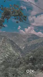 Ghar ka kaam Krna aata ho ache se and 2wheeler chla ske