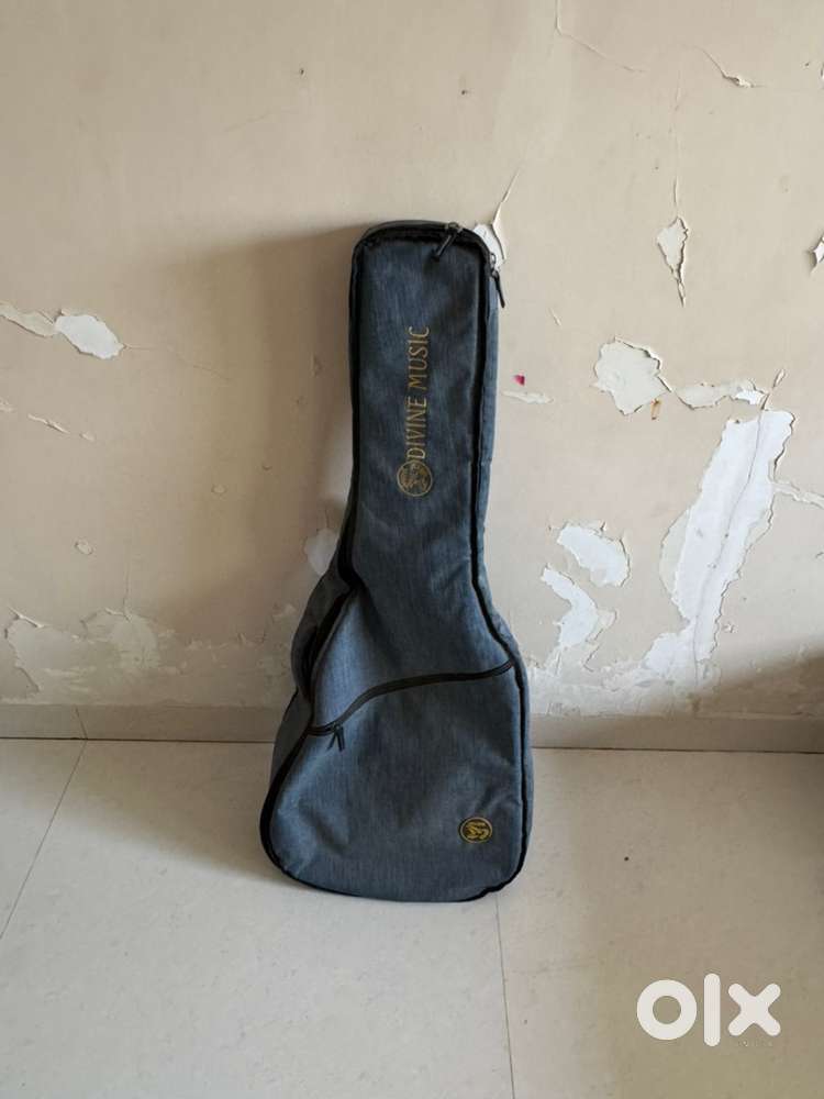 Guitar padded bag