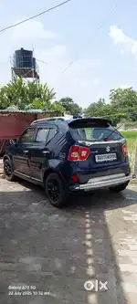 Maruti Suzuki Ignis 2020 Petrol 18500 Km Driven