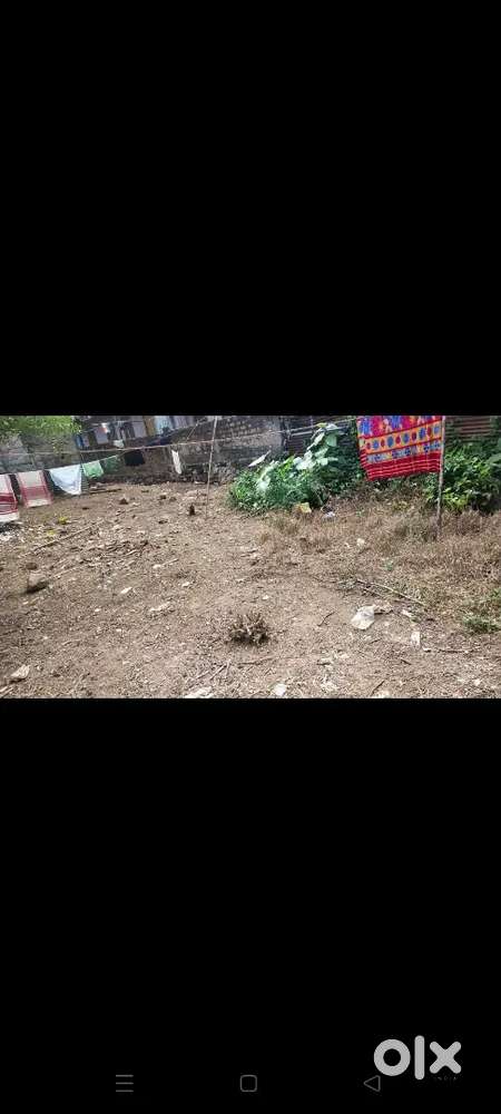 Eksonia land for sale