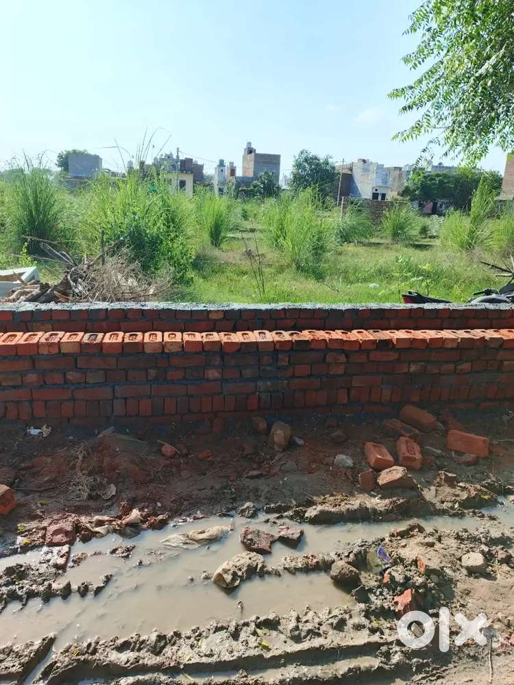 15/30,50 Gaj,Sun face,Gali No.6,Durga Enclave Punjab Khod Rohini Delhi