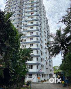 Electrician cum plumber