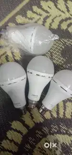 Luminous Inverter bulb
