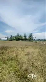Farm land for sale near Annur