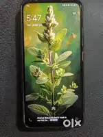 V15 pro max is good condition phone