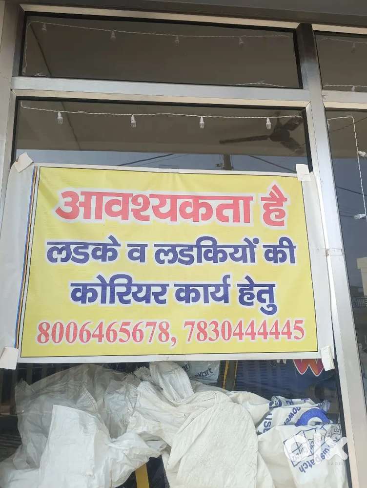 Dilevery k liye girl and boys chaiye