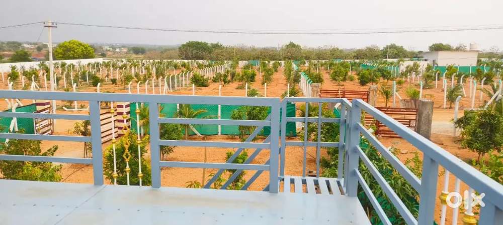 NEARBY KEESARA TEMPLE,  RRR OPEN PLOTS