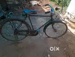 CYCLE  ...
