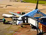 Indigo airlines job 2025
