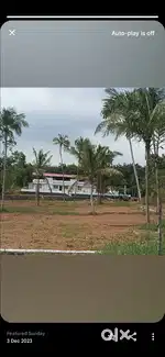 Thalayolaparambu.