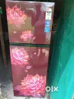 262 lit double door