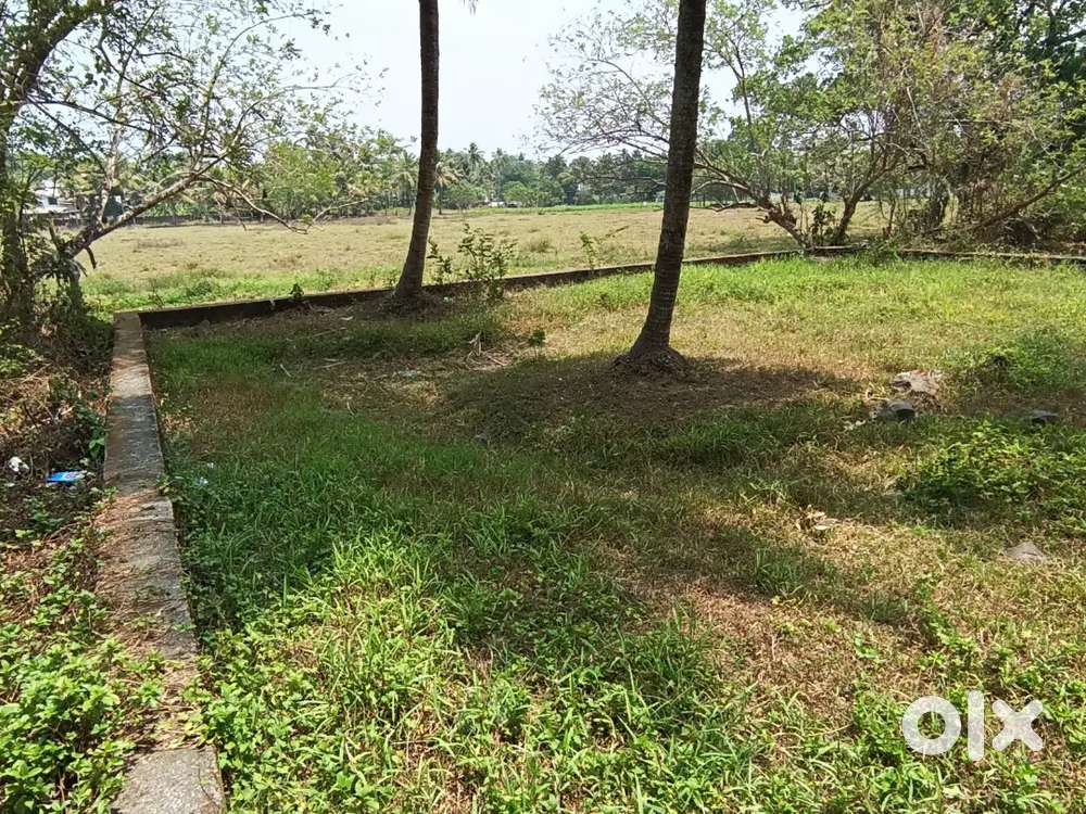 5.500 cent  plot for sale near edappally