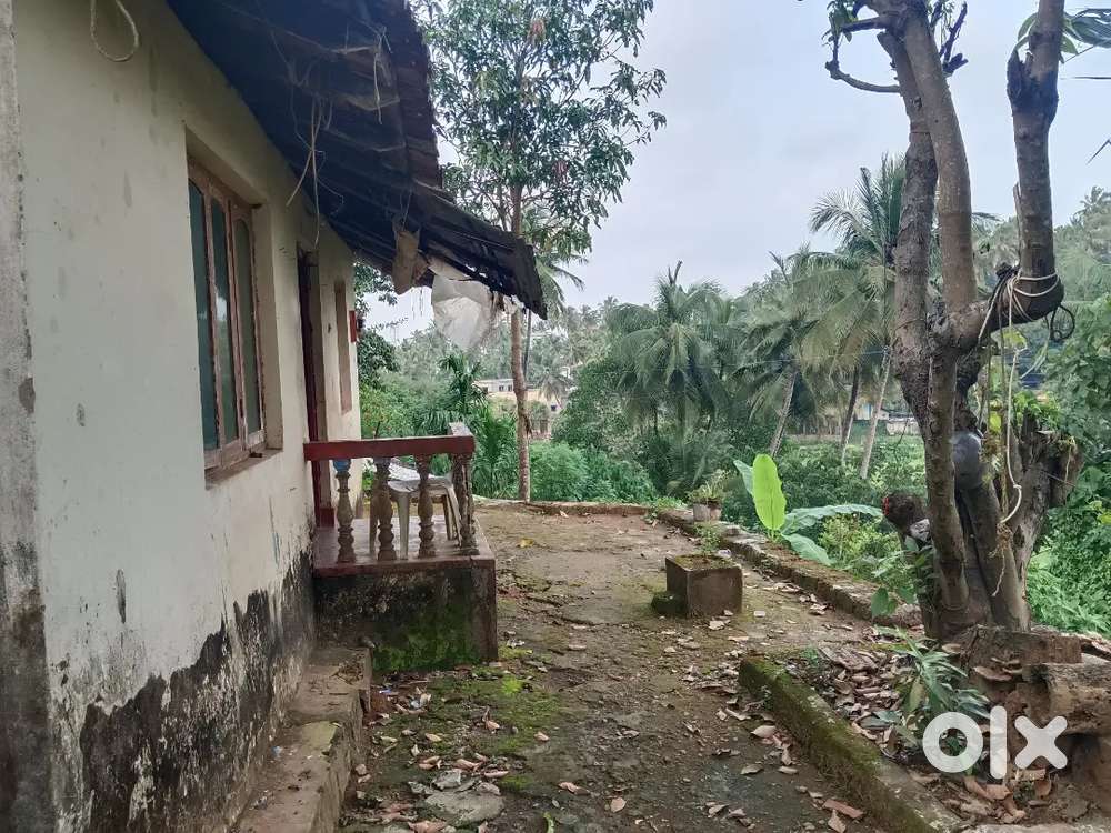River view 5cents with tiled house in jeppina muger Mangalore Karnatak