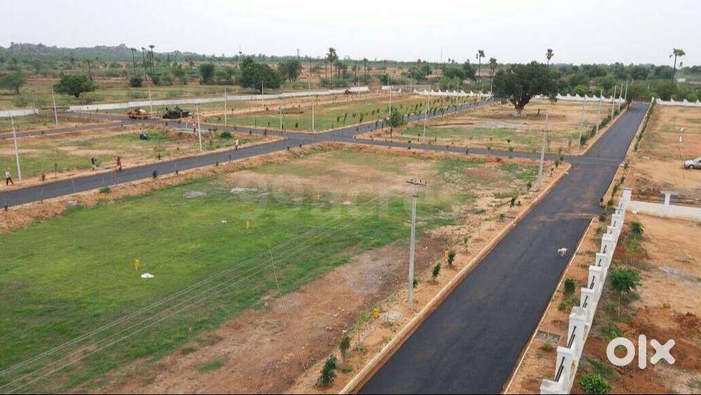 DTCP Approved Plots Just ₹8.99 Lakhs
