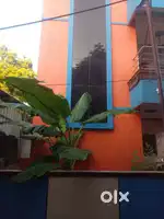 Rent house 1st flore