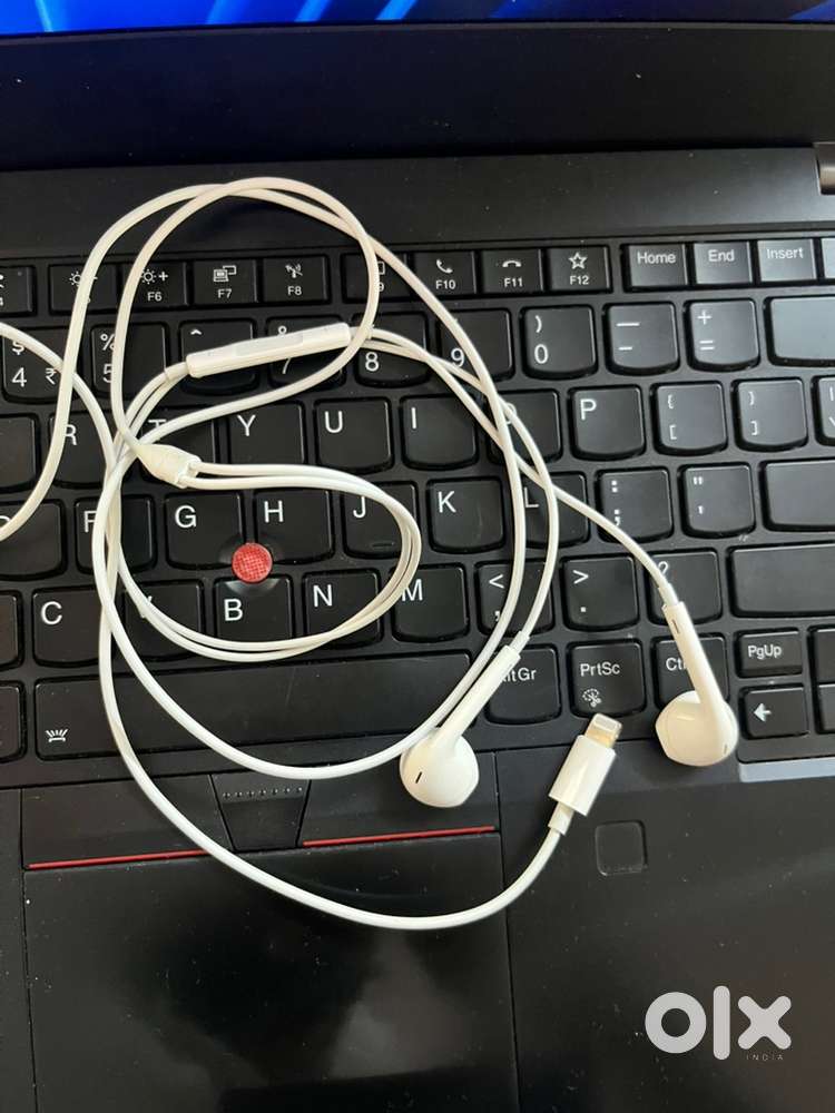 Apple lighting earbuds