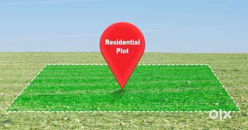 2 bigha land for sale doiwala kheri
